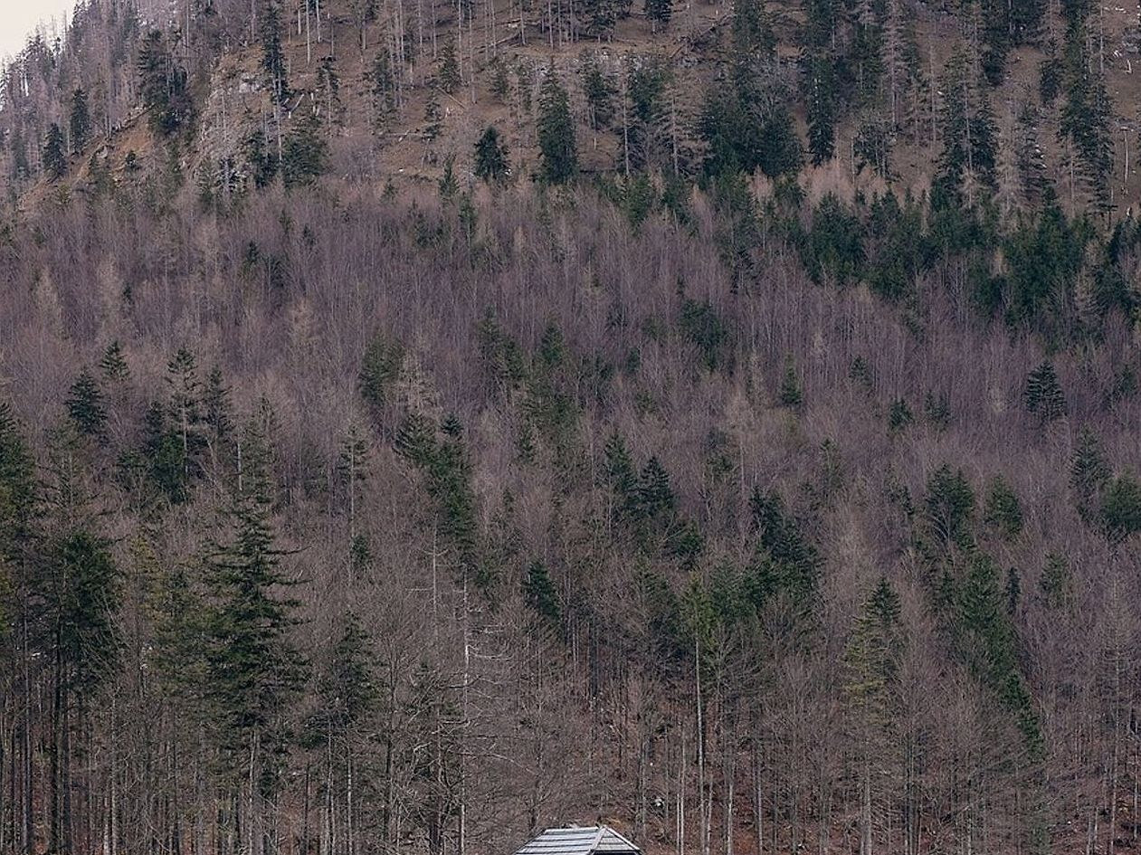Cabaña en el bosque junto a un lago bajo el hielo en invierno